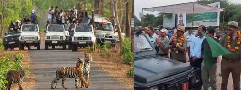 राजस्थान&सवाई माधोपुर के रणथंभौर नेशनल पार्क में पर्यटन सत्र शुरू