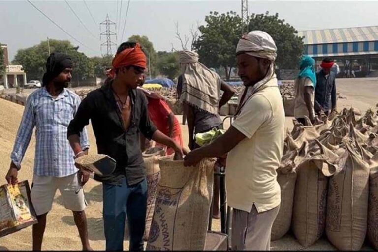 मंडी में सुविधाएं सुचारू रूप से हुई शुरू, खुली प्रशासन की नींद