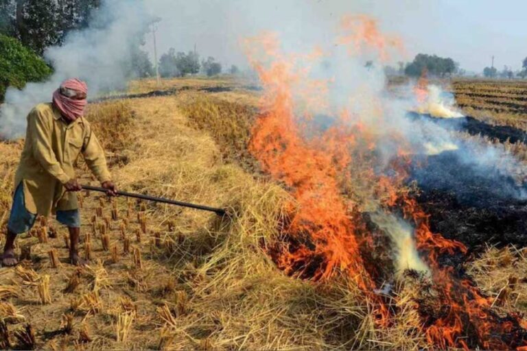 सैनी सरकार की सख्ती के बाद प्रदेश में काम हुए पराली जलाने के मामले, 34 नई  FIR हुई दर्ज