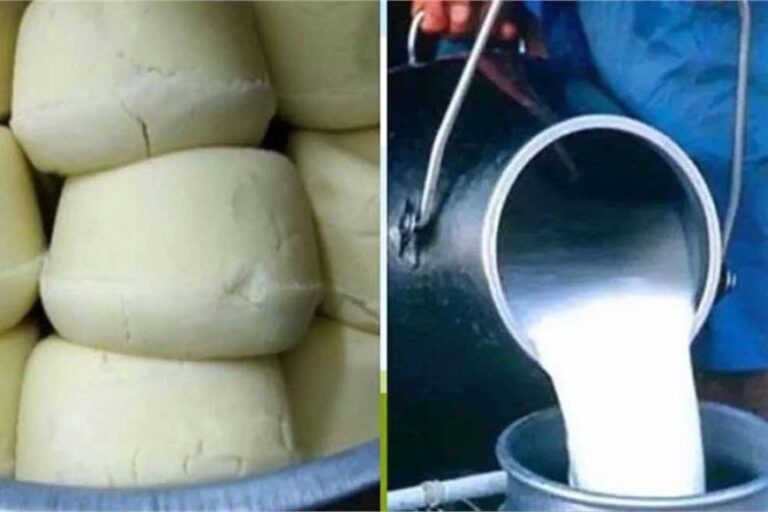 हरियाणा में धड़ल्ले से बिक रहे मिलावटी खाद्य पदार्थ, लोग हो रहे बीमार, आम जिंदगियों से हो रहा खिलवाड़